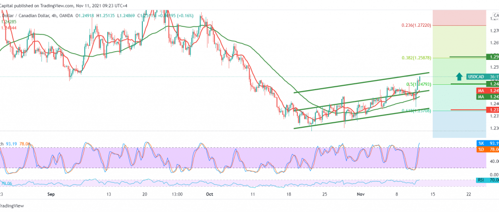 The Canadian Dollar Rises – Noor Trends