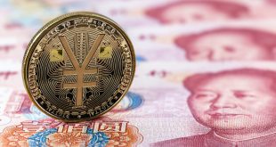 Yuan Coin
